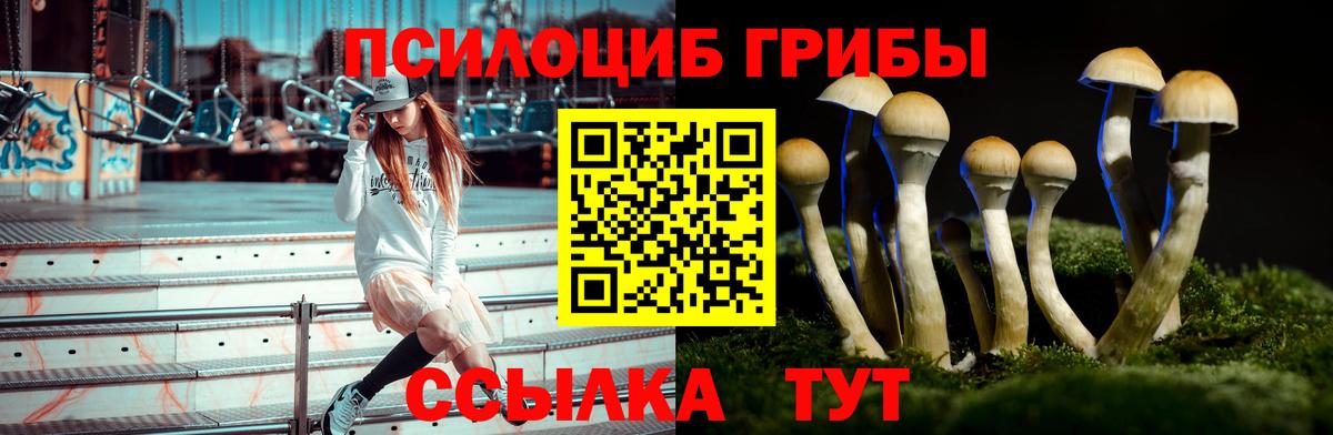 Галлюциногенные грибы мухоморы Ливны